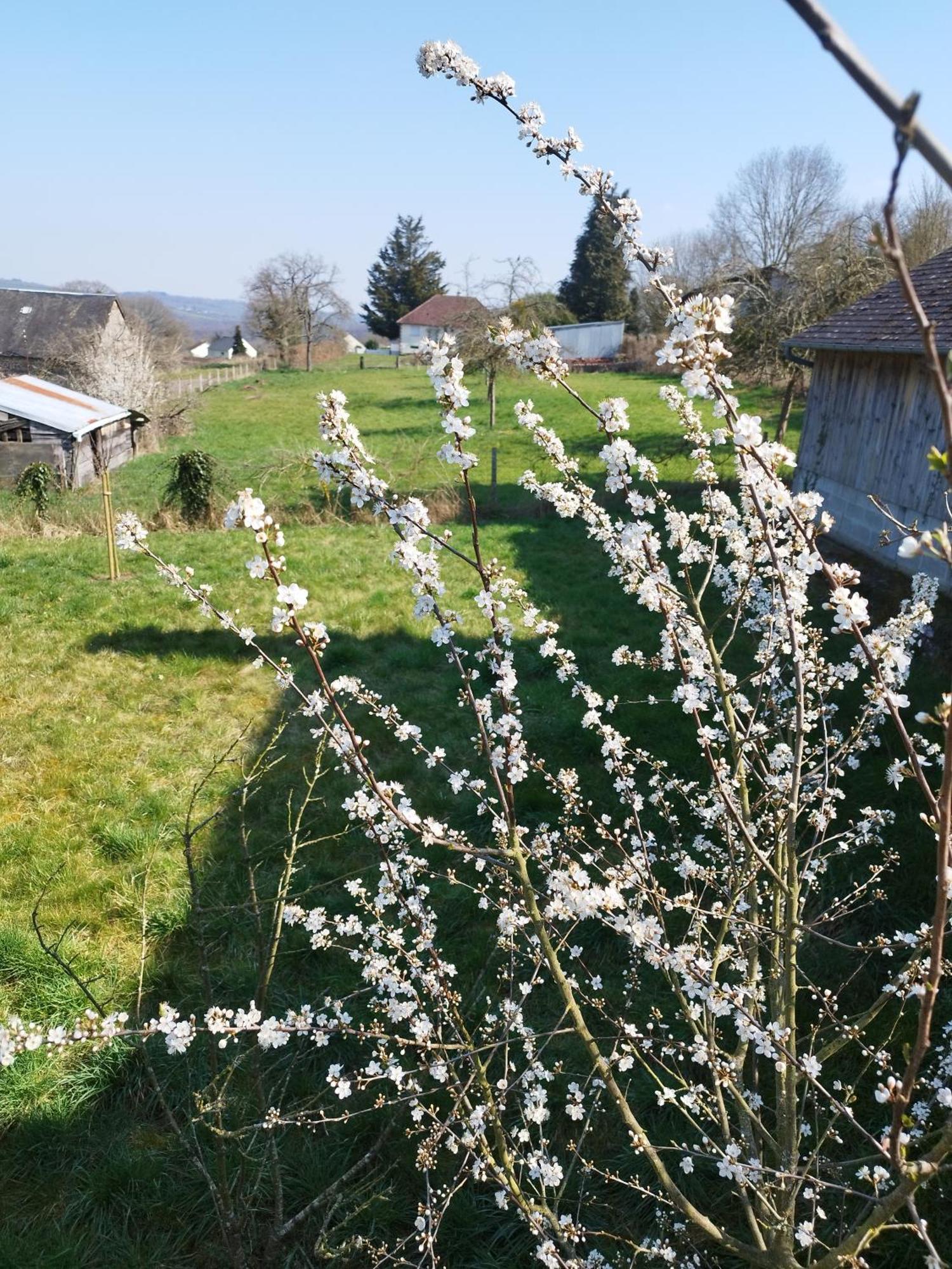 Chalet Des Roches Roche D'Oetre Suisse Normande Saint-Philbert-sur-Orne Bagian luar foto